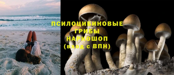 первитин Осинники