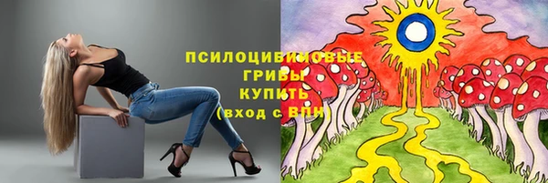 первитин Осинники