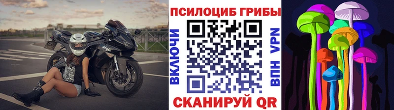 Псилоцибиновые грибы GOLDEN TEACHER  Купить закладки  Тихорецк 